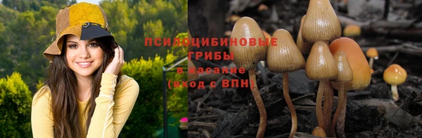 тгк Кинешма