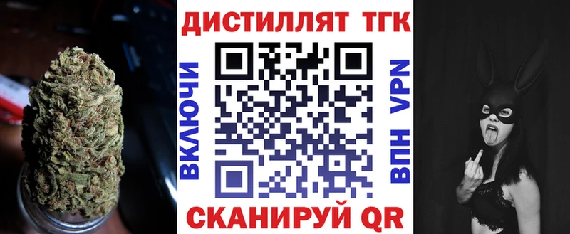 Купить закладки  Мурино  ТГК концентрат 